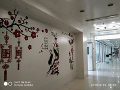 -北京协和医院(东单院区)