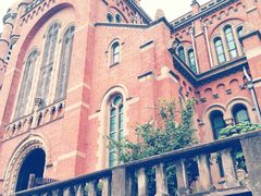 -上海佘山国家森林公园西佘山园