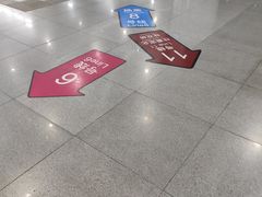 -东方体育中心(地铁站)