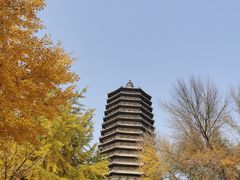 -玲珑塔公园