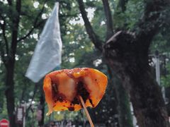 -向群锅饺(登高路店)