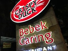 -Crispy Duck(Bebek Garing)