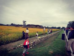 -中国天府农业博览园