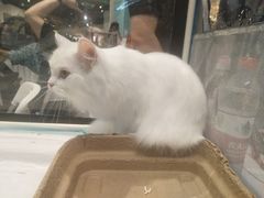 -首开·龙湖成都西宸天街