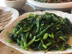 炒豆尖-羊八碗