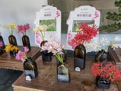 -杭州植物园