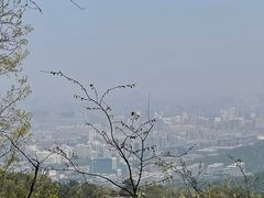 -灵顺寺