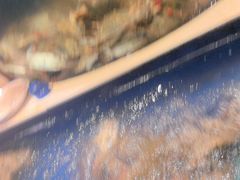 -海天盛宴新派海鲜自助餐厅(群力店)