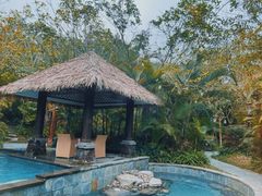 -碧桂园润杨溪谷温泉酒店