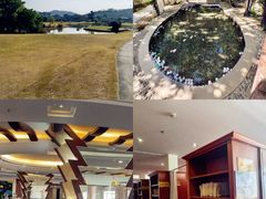 -罗浮山嘉宝田森林温泉度假酒店