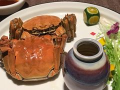 -樽宴酒楼·地道川菜·品质宴请