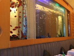 大堂-Acqua海蓝意大利餐厅