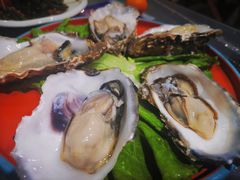 湛江生蚝-金龙·打边炉(武进路店)