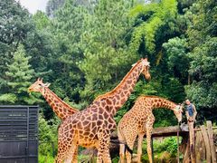 -云南野生动物园