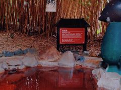 -森波拉火山温泉