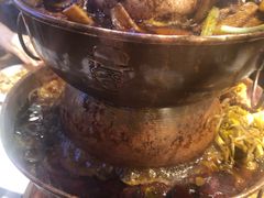 -老佛爷蛙锅•鲜蛙煲(麦凯乐店)