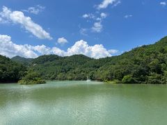 -广州白江湖森林公园