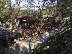 -兴福老面馆(寺路街店)