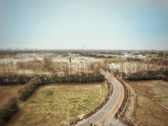 -上海长兴岛郊野公园