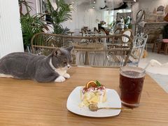-共舞时光猫咖·狗咖(新街口店)