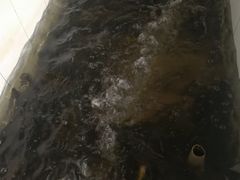 -官厅老勾渔馆(温泉店)