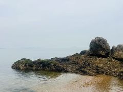 -棒棰岛宾馆景区