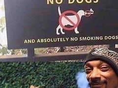 -赛百味SUBWAY(曲江智慧大厦店)