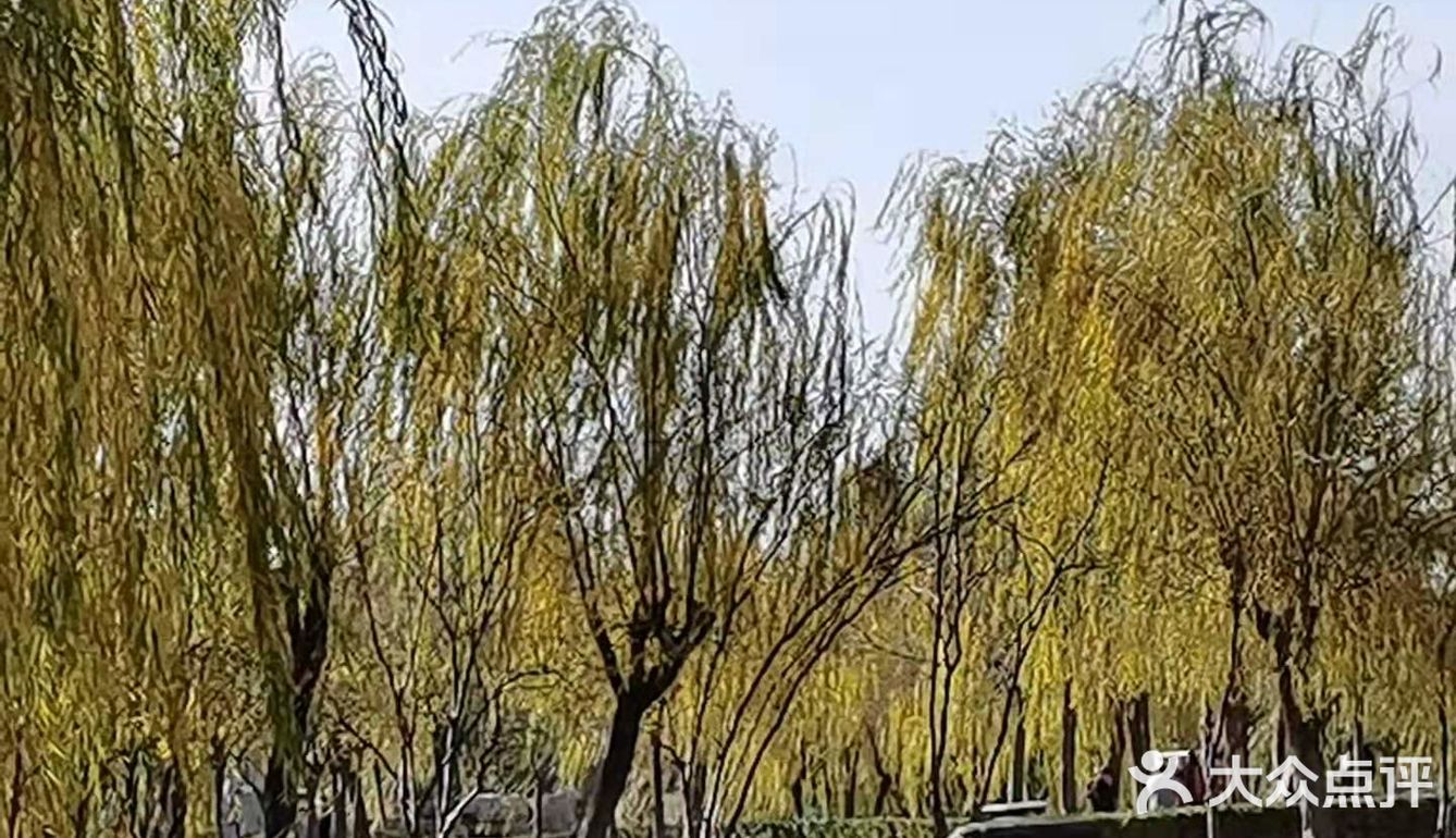 人们也是不惧寒冬，在这金色的花园里