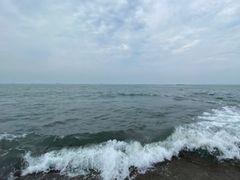 -渡海小渔村.老辈日照菜