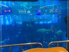 -乐从天佑城海洋馆