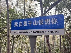 -莫干山风景区