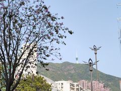 -莲塘味宝园牛杂(天越翔园店)