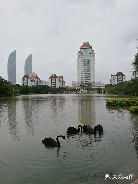 廈門大學(思明校區)圖片