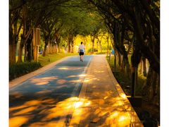 -广州国际生物岛