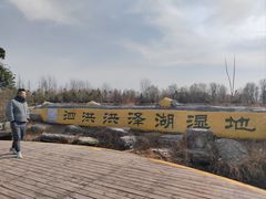 -泗洪洪泽湖湿地景区