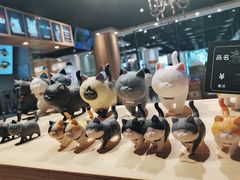 -藏猫猫咖啡主题馆(中央大道店)