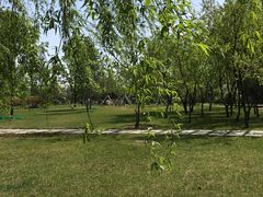 -长春公园(普阳街道)