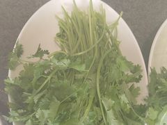 -蒙都43°9羊火锅(平庄店)