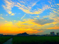 -光明小镇欢乐田园