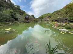 -云溪植物园