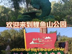 -鲤鱼山公园