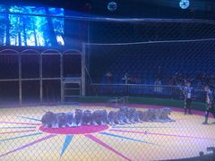 -西安秦岭野生动物园