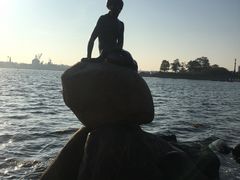 -美人鱼