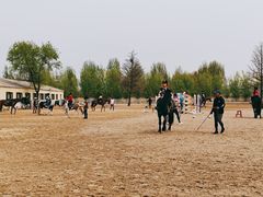 -北京群众马术培训基地