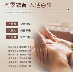 点击看大图 -玛莲朵·海菲秀冰珀科