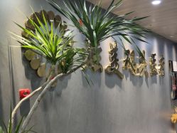 -北京炫美医疗美容