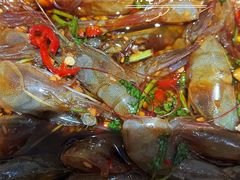 -圆蛋酒料•生腌(开元路店)