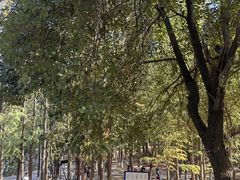 -张公山寨景区