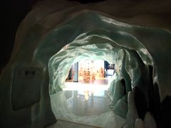 -青藏高原自然博物馆