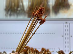-钢管厂五区小郡肝串串香(南山店)